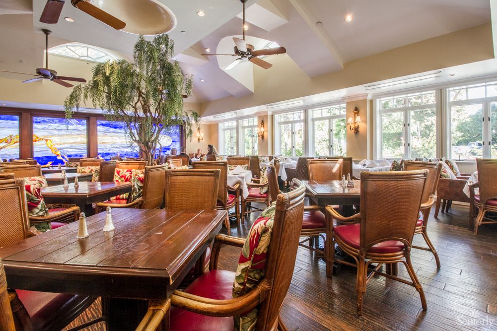 A cozy restaurant interior featuring wooden tables and chairs, with large windows letting in natural light.