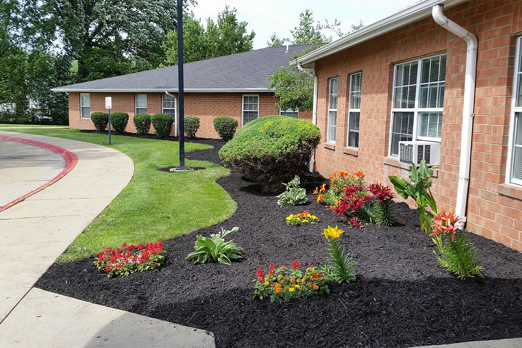 A landscaped garden with colorful flowers and mulch in front of a brick building.