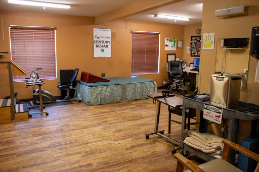 An organized workspace with a bed, desk, and chairs in a well-lit room.