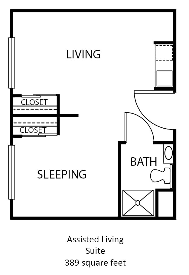 Studio apartment floor plan featuring living and sleeping areas, a bathroom, and closets.