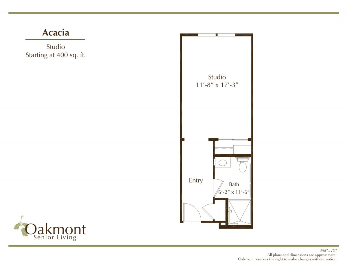 Studio apartment floor plan layout with Acacia model details.