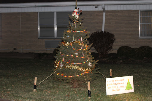 A unique outdoor Christmas tree decorated with lights, showcasing festive creativity.