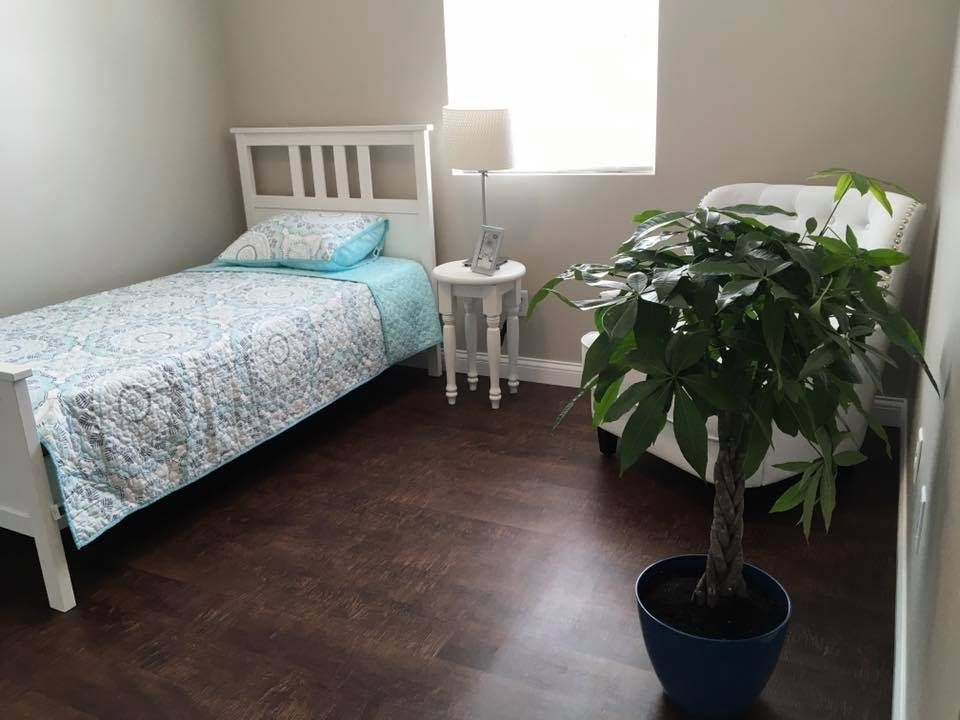 A minimalist bedroom with a single bed, potted plant, and a small nightstand beside a lamp.