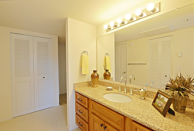 A well-lit bathroom with a wooden vanity, granite countertop, and decorative elements.