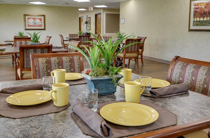 A dining table set with yellow plates, mugs, and a central green plant in an inviting dining room.