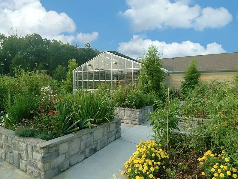 A beautiful outdoor garden with a greenhouse in the background, surrounded by lush plants and vibrant flowers.