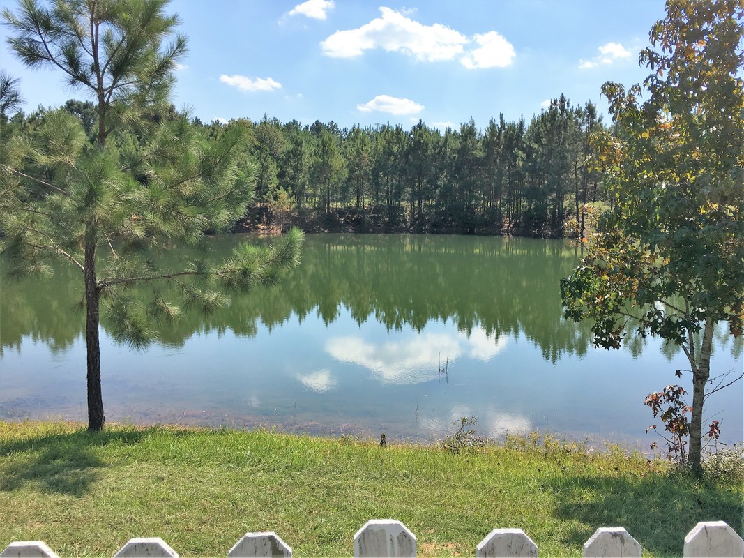 A serene lake reflecting the surrounding forest and blue sky.