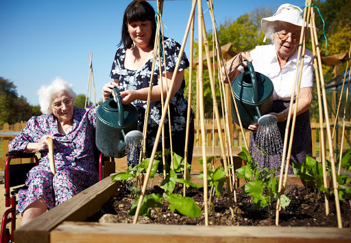 A group of women enjoying gardening together, watering young plants in a community garden on a sunny day.