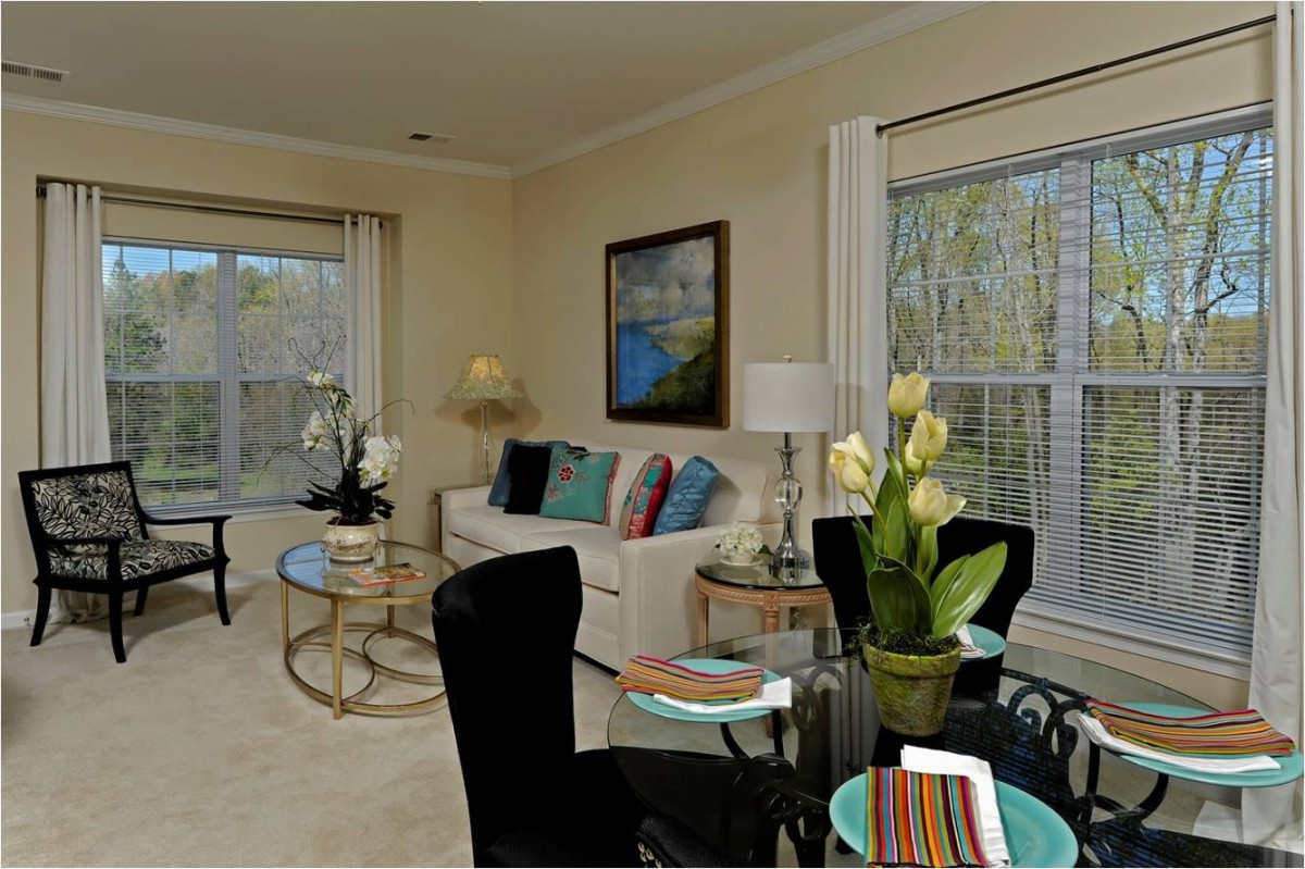 A modern living room with elegant furnishings and decor.