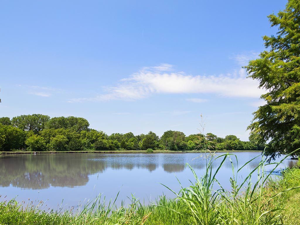 A serene lake surrounded by lush trees under a clear blue sky.