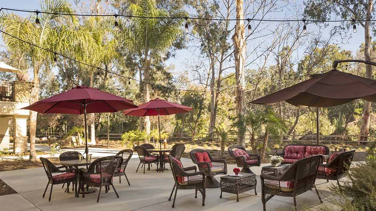 A cozy outdoor patio with tables, chairs, and red umbrellas surrounded by trees.