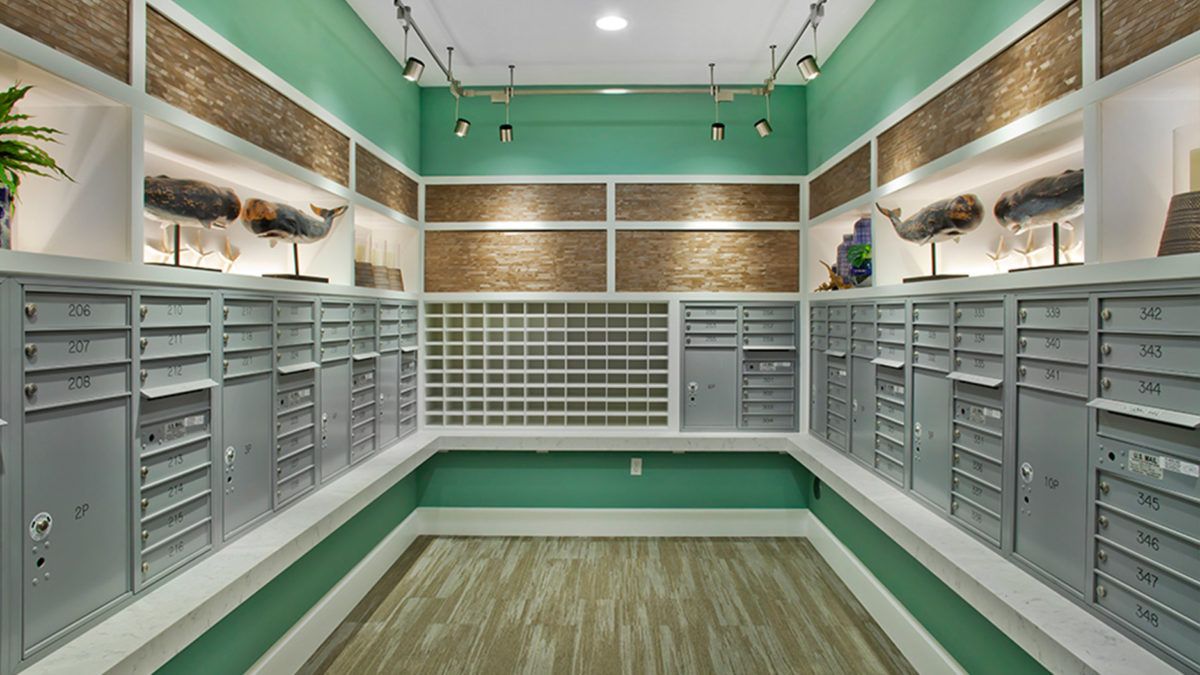 A modern mailroom with green walls and rows of metal mailboxes.