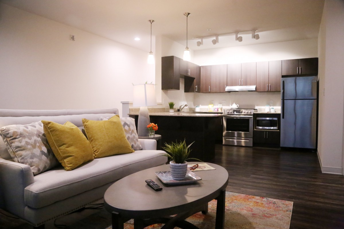 A modern open-plan living room with a cozy kitchen area featuring sleek appliances and a comfortable seating arrangement.