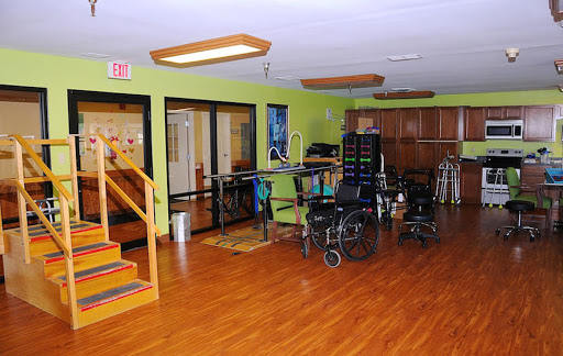 A spacious rehabilitation room equipped with wheelchairs and therapy equipment, featuring vibrant green walls and a warm wooden floor.