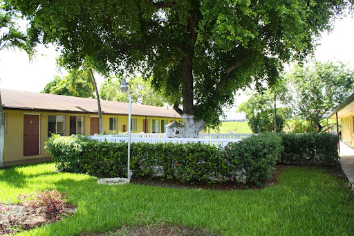 A serene outdoor scene featuring a large tree, neatly trimmed bushes, and a building in the background.