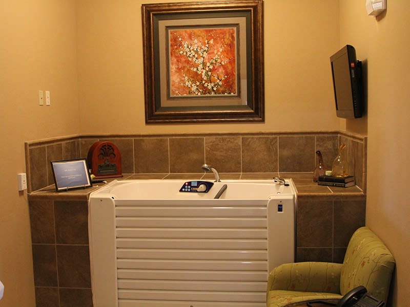 A cozy bathroom with a walk-in tub, adorned with a wall painting and complementary decor.