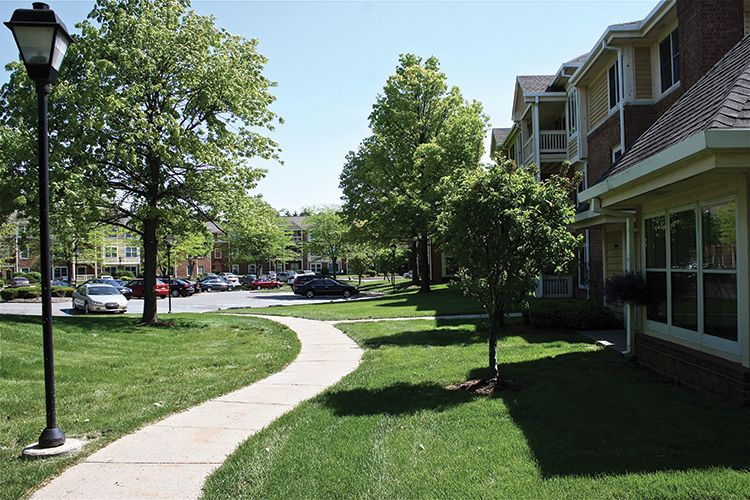 A sunny residential area with apartments, a sidewalk, and lush green trees.