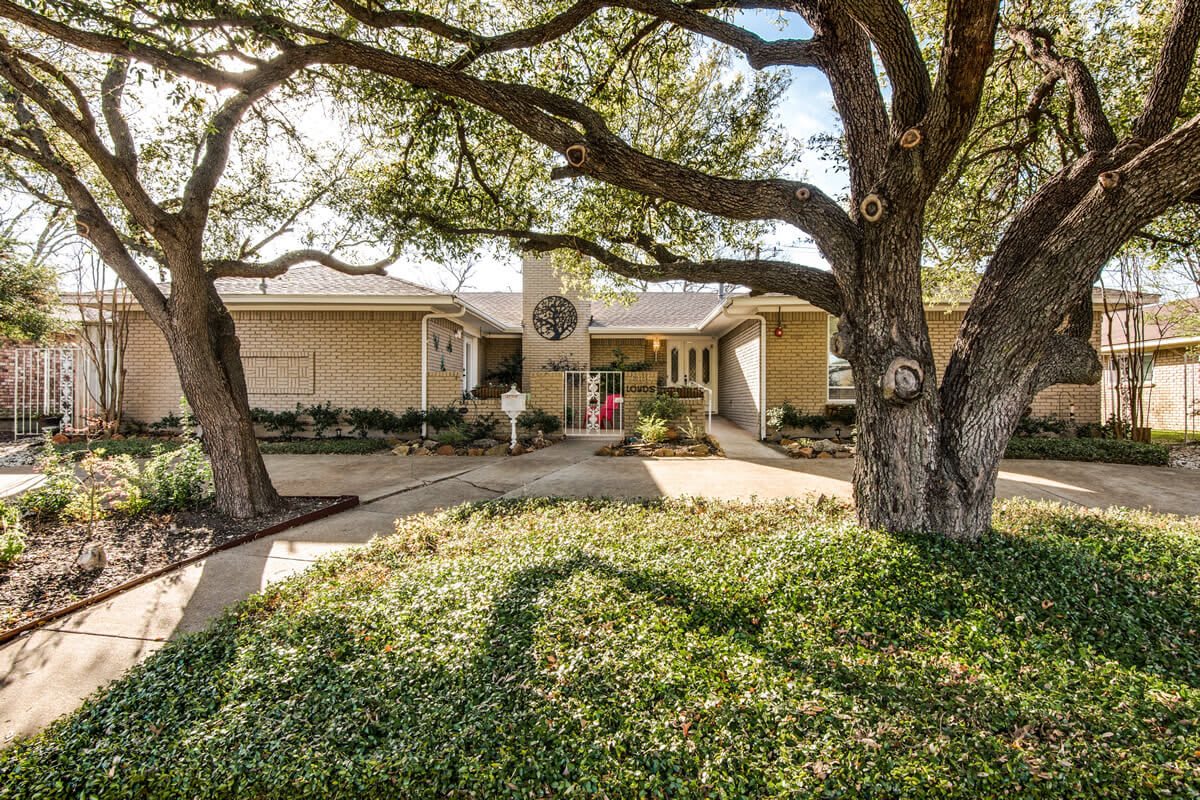 Sage Oak - Lake Highland