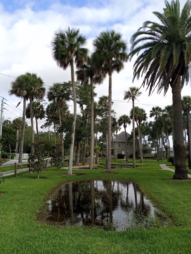 A tranquil park scene featuring tall palm trees and a reflective water body.