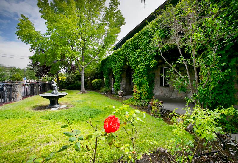 A picturesque garden with a fountain and red rose, surrounded by lush greenery and an ivy-covered house.