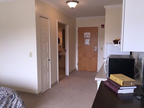 A cozy apartment interior featuring a hallway with a wooden door, carpeted floor, and a small bookshelf with a microwave.