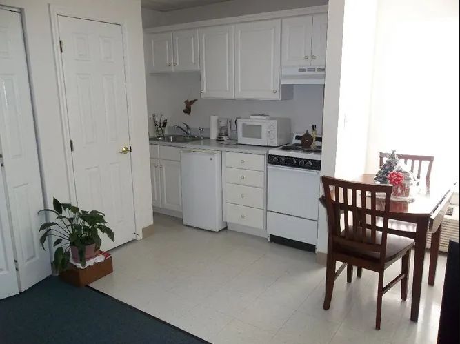 A compact apartment kitchen with white cabinets, a small dining table, and an indoor plant.