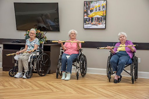 A group of elderly women engaged in a physical exercise class, using poles for support while seated in their wheelchairs.