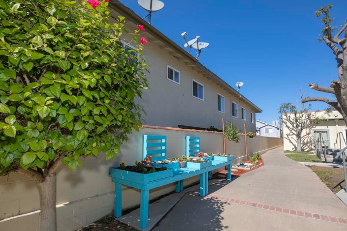 A bright outdoor area with turquoise benches and plants against a building under a clear blue sky.
