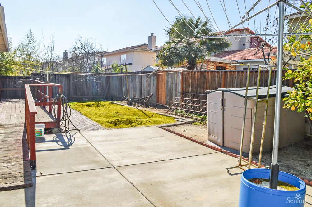 A sunny backyard with a concrete patio, grass area, and a palm tree.