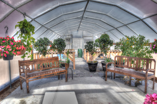 Beehive Homes Of Bosque Farms