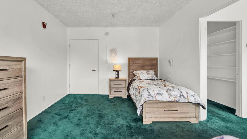 A minimalist bedroom with a single bed, nightstand, and green carpet.