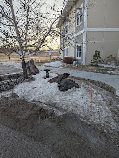 A winter scene featuring a small landscaped area with snow, rocks, and a tree beside a building.