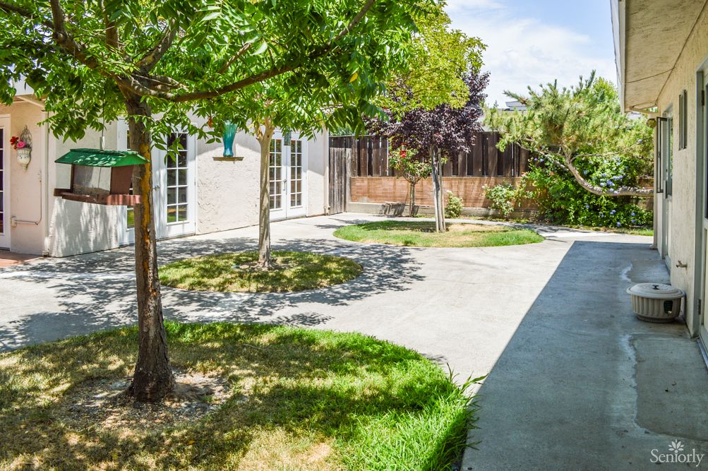 A sunny backyard with a garden, trees, and a paved pathway leading to the house.