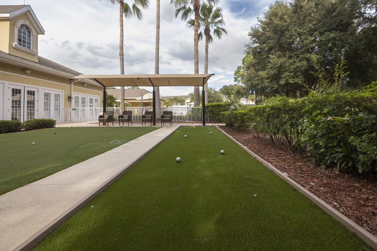 A well-maintained backyard with a lawn, patio area, and palm trees.