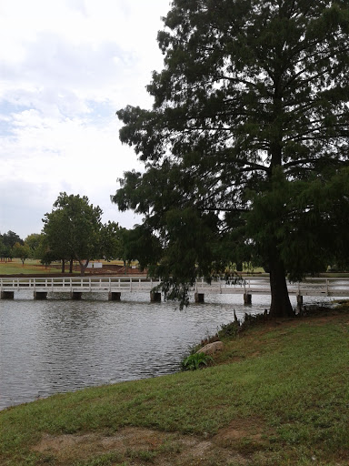 Shanoan Springs Nursing And Rehabilitation
