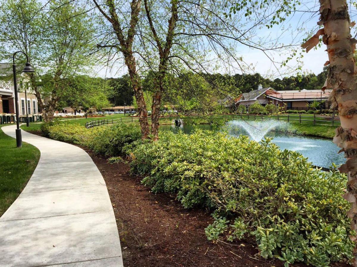 A scenic park with a paved pathway, lush greenery, and a fountain in the pond.