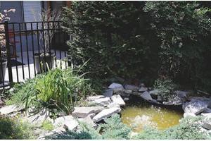 A small garden pond surrounded by rocks and greenery.