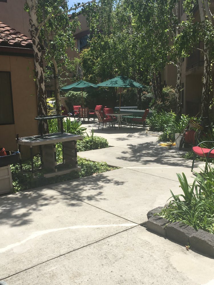 A sunny outdoor patio with tables, chairs, and umbrellas surrounded by greenery.