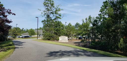 A view of a road leading towards a sign amidst trees on a sunny day.