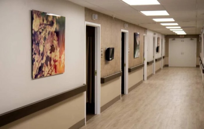 A healthcare facility hallway lined with doors and colorful artwork on the walls.