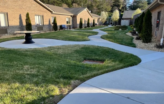 A winding sidewalk through a residential area with grass and trees.