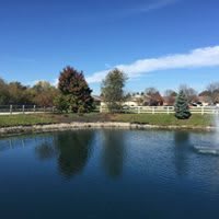 A tranquil pond with a fountain, surrounded by trees on a clear day.