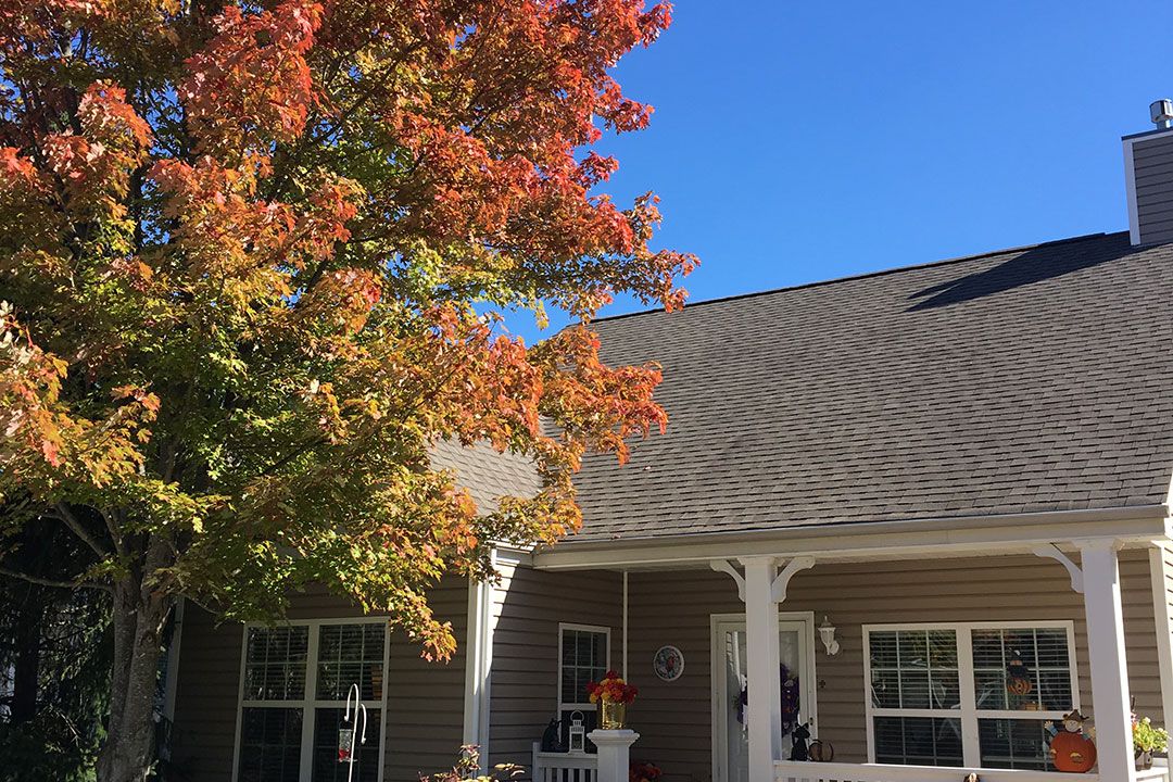 A charming house with an autumn tree displaying vibrant fall colors against a clear blue sky.