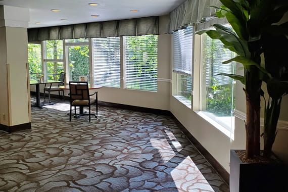A sunlit lobby area with large windows, a table and chairs, and decorative plants.