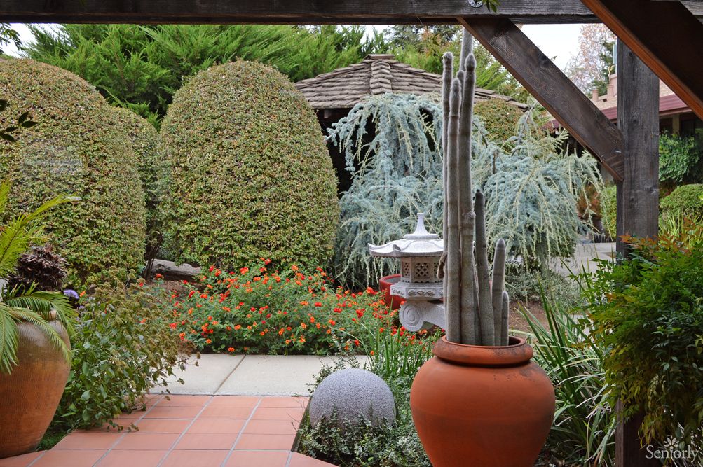 A beautifully landscaped garden featuring various shrubs, a tall potted cactus, and a stone pathway leading to a wooden structure.