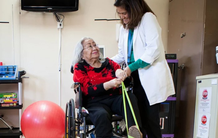 A healthcare professional assists an elderly woman in a wheelchair with physical therapy exercises using resistance bands.