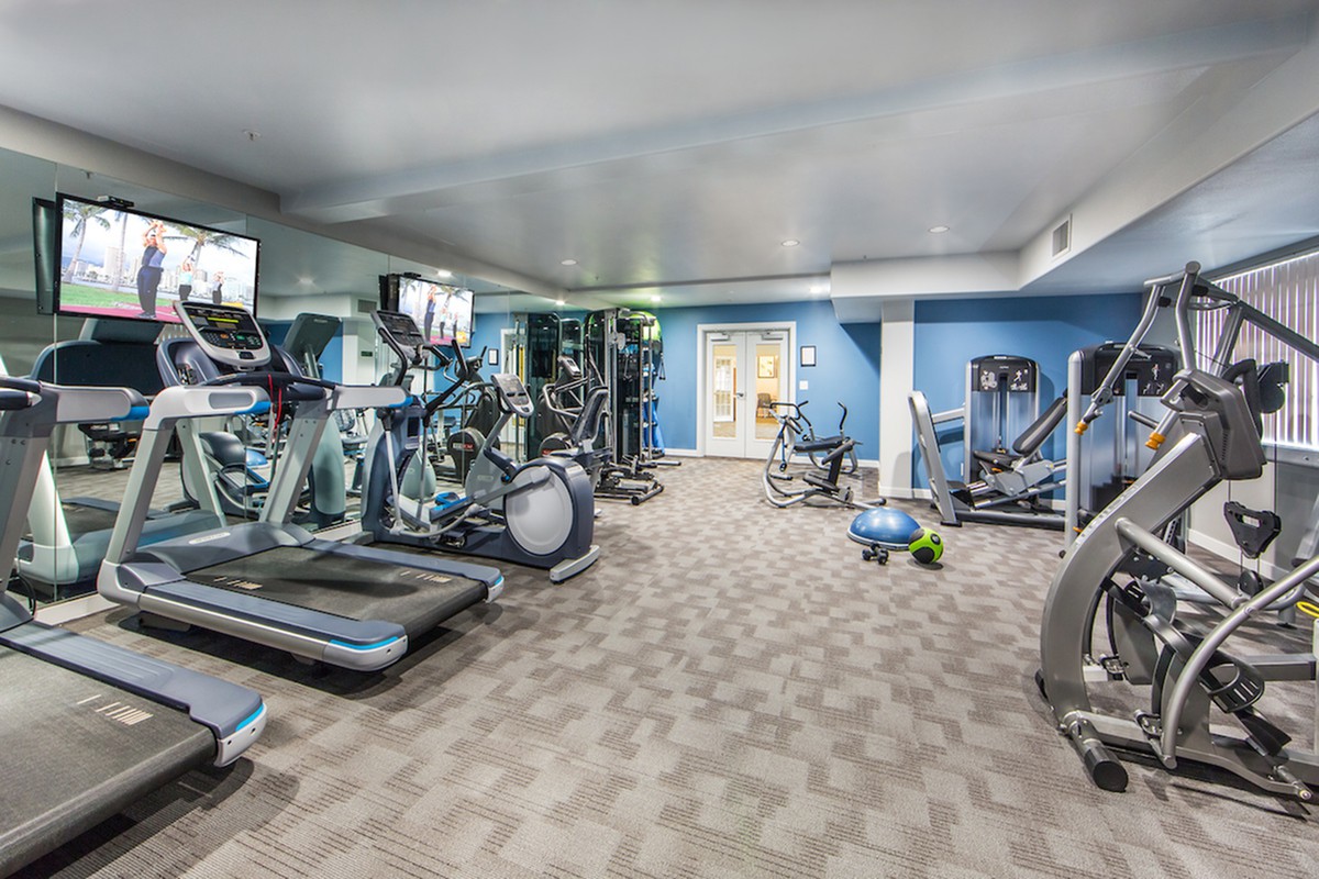 A modern gym with various exercise equipment including treadmills, ellipticals, stationary bikes, and weights.