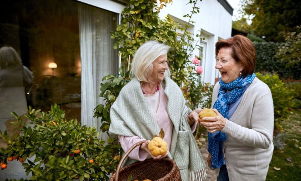The Pines of Goodrich Assisted Living and Memory Care