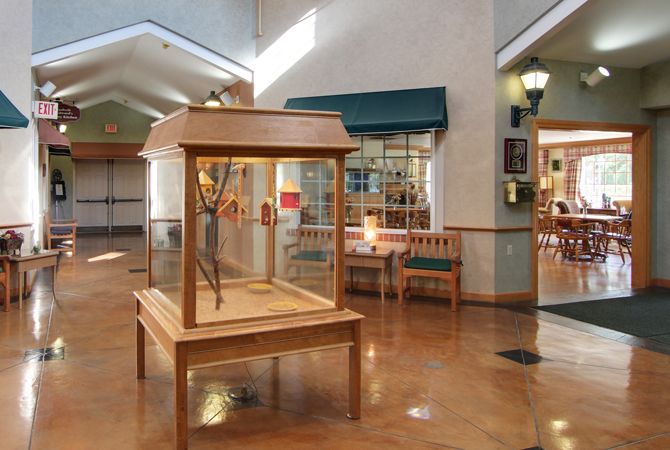 A museum interior featuring a wooden display case and seating area.