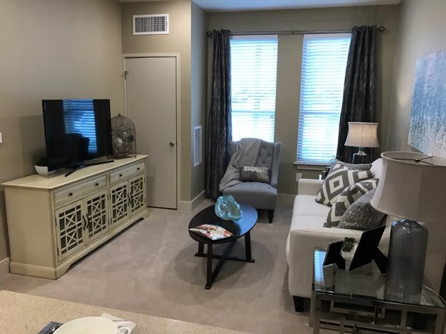 A cozy living room with a sofa, armchair, television, and decorative elements.
